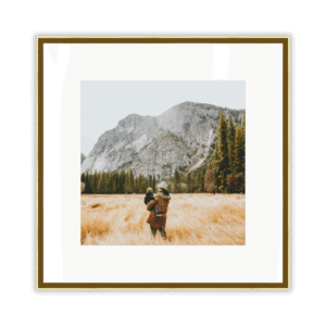 Premium Frame Images